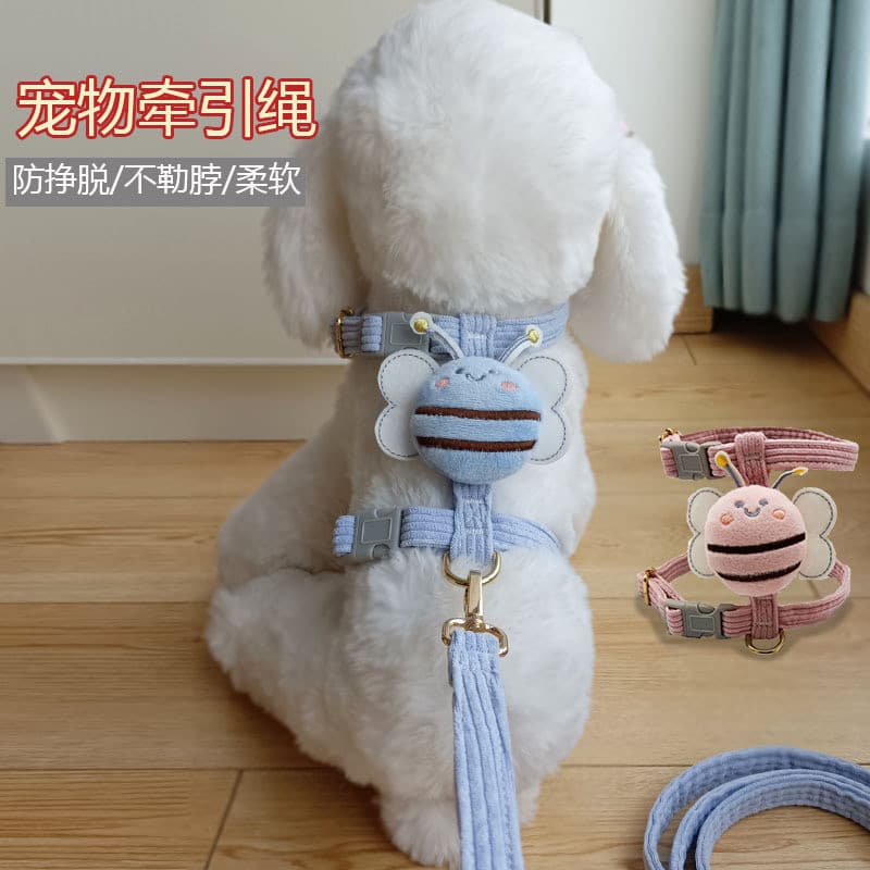 Cão pequeno Teddy Corgi cão andando corda colar cão trela gato cinta abelha colete cão corrente