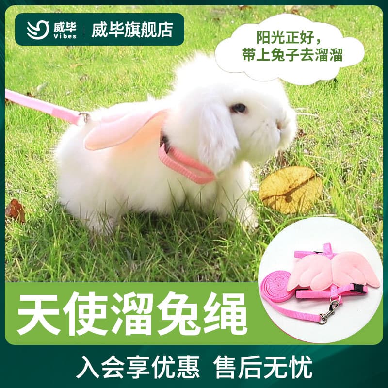Corda de tração de coelho, corda de passeio de coelho para animais de estimação, corda de caminhada de coelho, Anti-queb