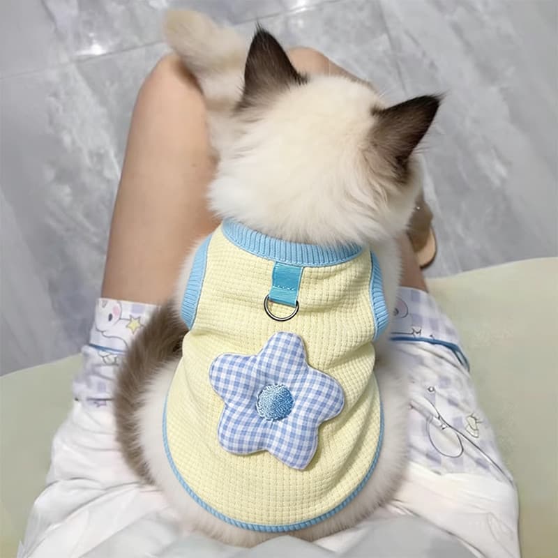 Roupas de gato Anti-fiapos primavera verão fino bonito ouro gradiente inglês curto Muppet outono colete tração respiráve