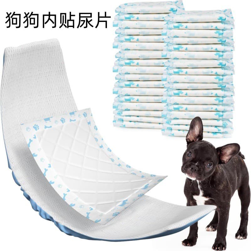 Fraldas para cães Cortesia com fraldas Teddy Masculino Calças para cães Fraldas descartáveis Almofadas adesivas para men
