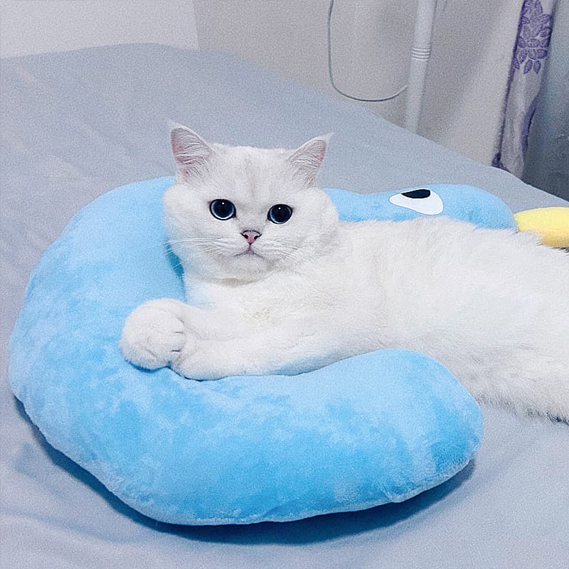 Gato pequeno gato travesseiro quatro estações Universal leite travesseiro Muppet gato macio confortável pescoço travesse
