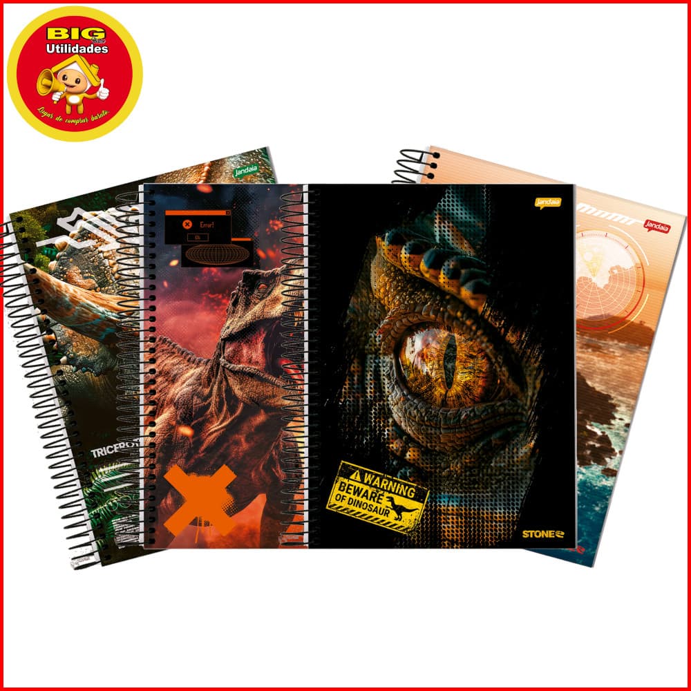 Caderno Stone 10 Matérias Jandaia 160 Folhas Capa Dura Estampas Variadas Coleção 2027 Luxo Unisex