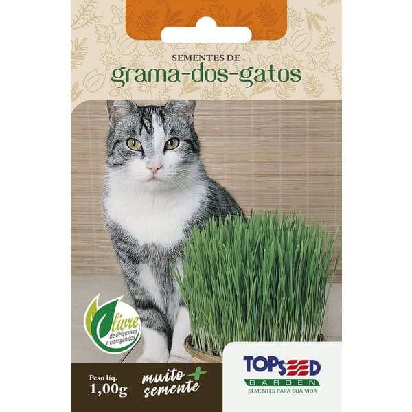 Sementes De Grama Dos Gatos (Cat Grass) TOPSEED