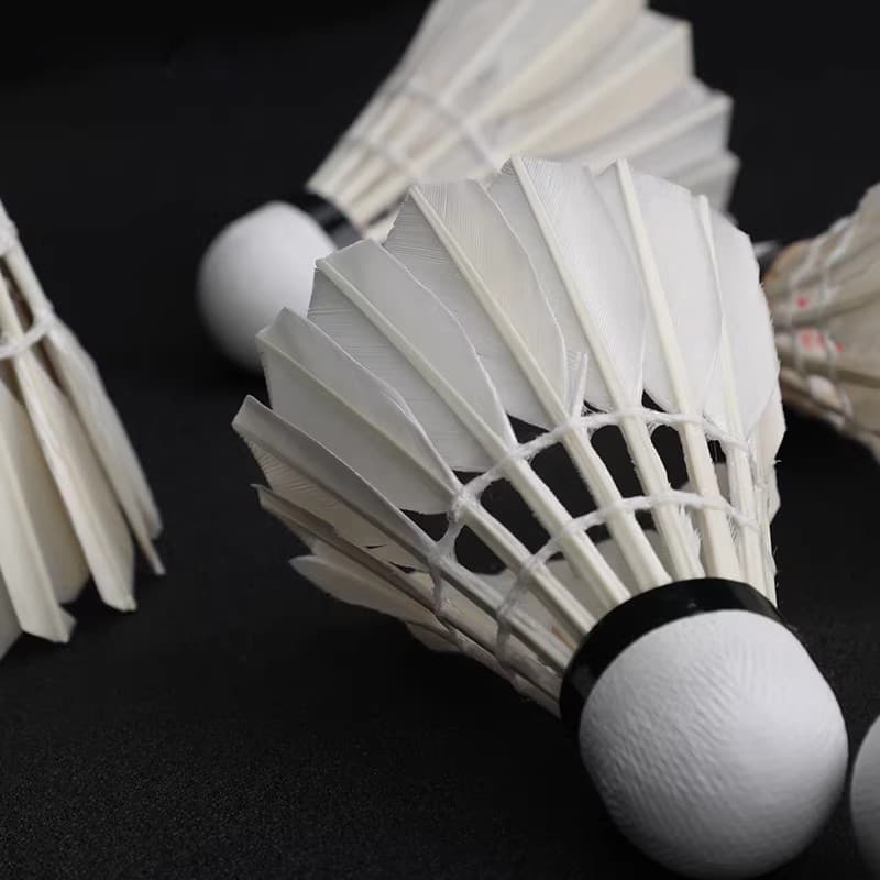 FoxPrince Badminton 6 pçs pacote durável rei genuíno não é fácil de quebrar pena de ganso Indoor ao ar livre bola de tre
