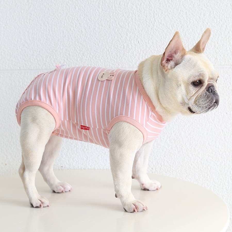 Roupas de barriga de cadela de combate francesa roupas de esterilização roupas pós-operatórias roupas de cachorro gordo