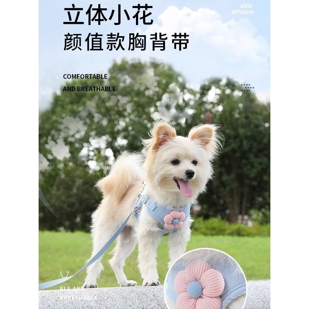 Coleira para cachorro, coleira para caminhada, gato, cachorro pequeno, cinta peitoral, para animais de estimação, sem qu