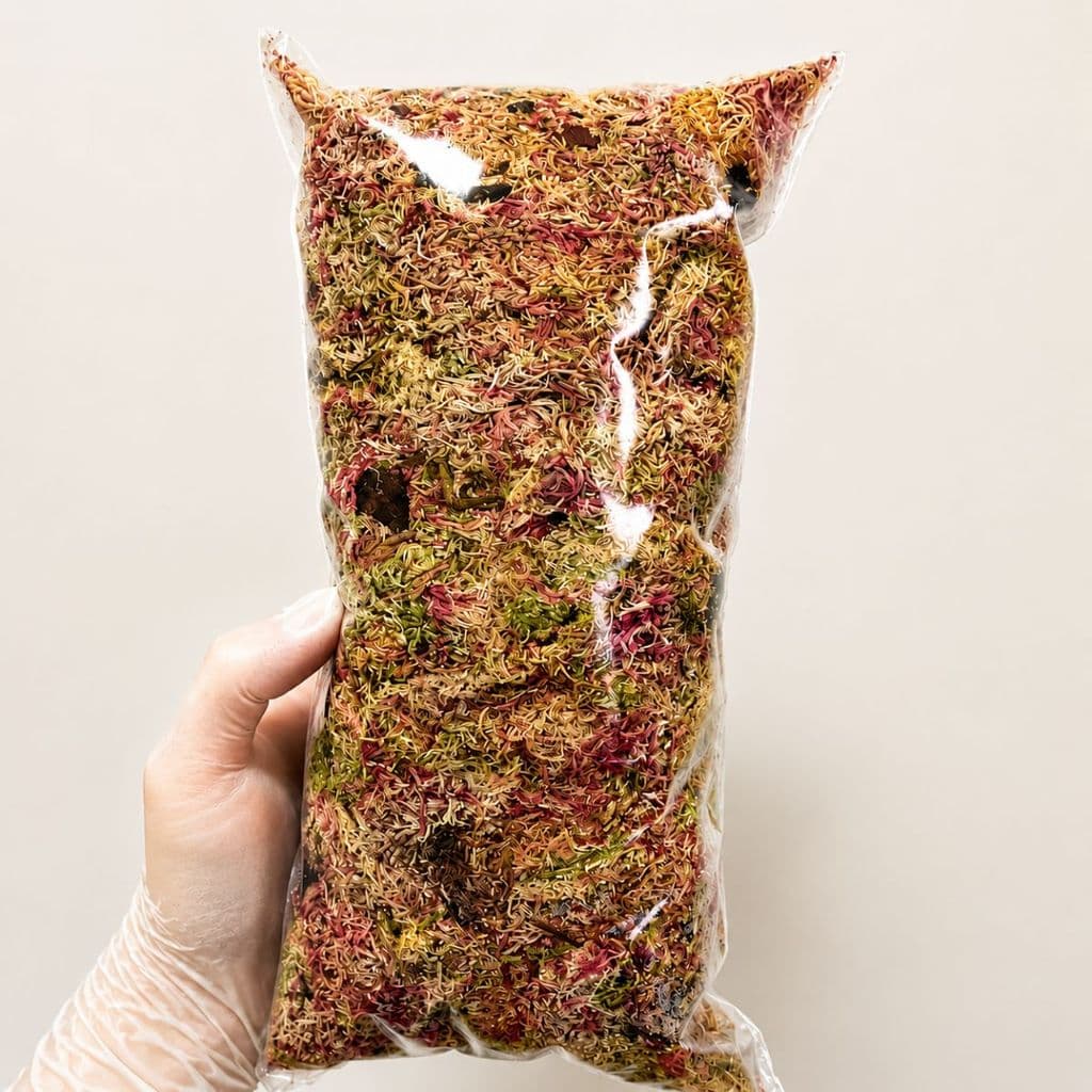 Musgo Esfagno Sphagnum 8L Natural para Orquídeas, Terrários e Plantas