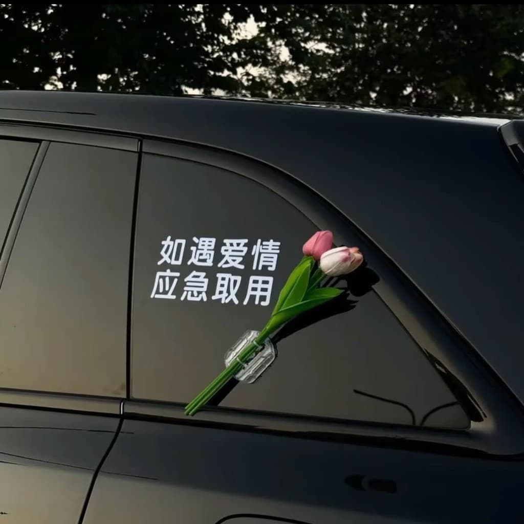 Decoração de Carro 2025 Novo Estilo