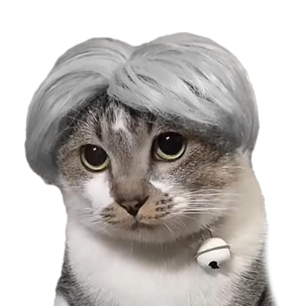 Acessórios Para Cabelo De Gato De Partes Médias , Celebridade Da Internet , Mesmo Estilo , Perucas Divertidas Animais De