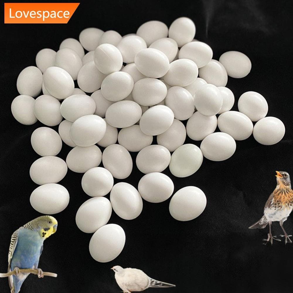 LS-STORE 5 Peças De Ovos Falsos Sólidos , Fictícios Realistas Para Papagaio , Periquito , Calopsita , Lovebird , Criação