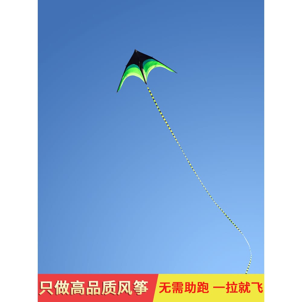 Fang Kite adulto dedicado brisa fácil voando influenciador High-End Oversized 2026 novo estilo crianças vendas diretas