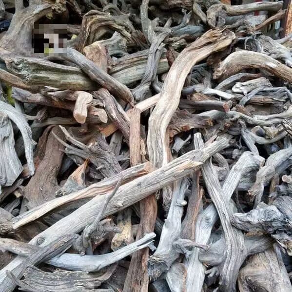 Taihang thuja bloco de óleo alto Material lã raiz escultura escultura escultura em madeira envelhecido prática alça peça