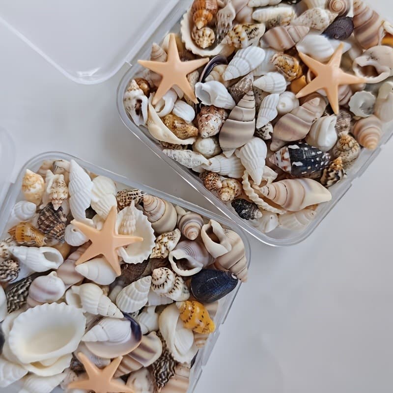Conjunto De 1/2/3 Caixas De Conchas De Estrela Do Mar De Resina Mista Adequadas Para Decoração De Substrato De Aquário