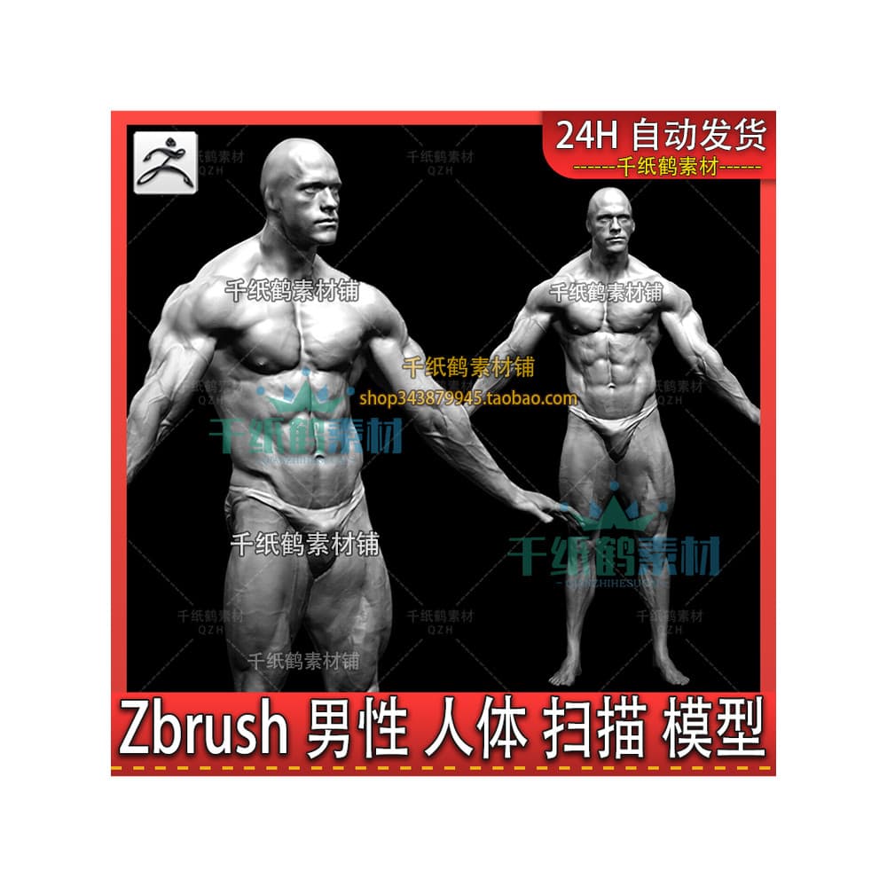 Zbrush masculino estrutura muscular realista membro anatomia gravura referência 3d corpo humano postura digitalização mo
