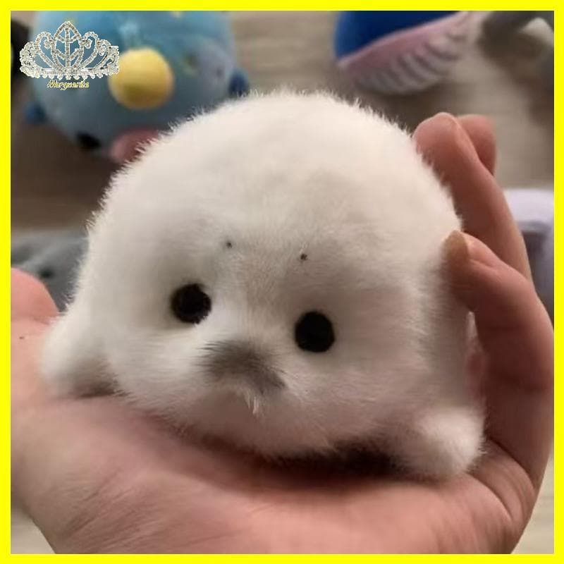 Margu Bonito Bebê Selo Boneca Brinquedo De Pelúcia Pingente Simulação Oceano Lembrança Presente Saco Erite