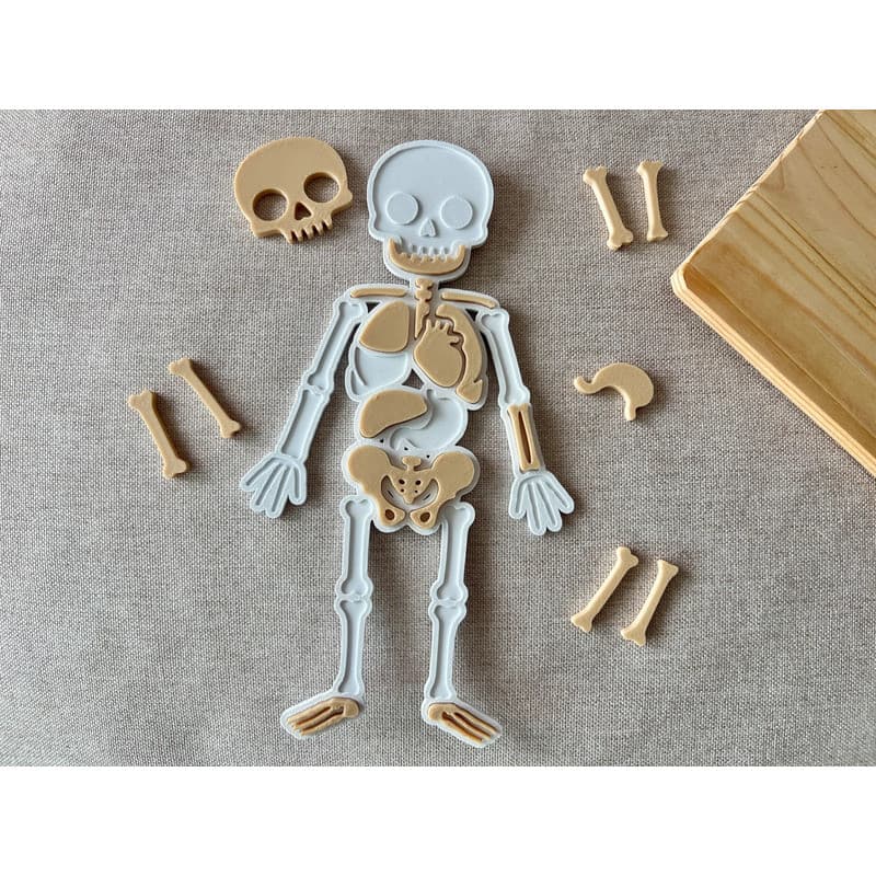 Quebra-Cabeça Corpo Humano Infantil