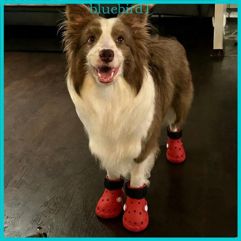 Sapatos Azuis Para Animais Estimação Filhotes, Pés, Furo Aberto, Entrada Superior E Envoltório