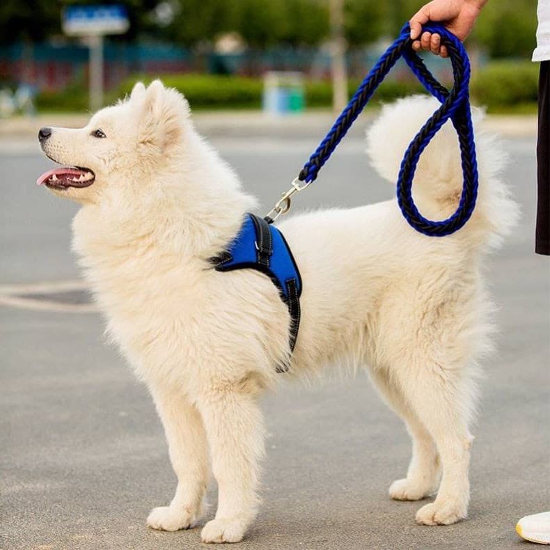 Coleira para caminhada de cachorro, corda para cachorro, corrente para cachorro pequeno, tamanho médio, cachorro grande,