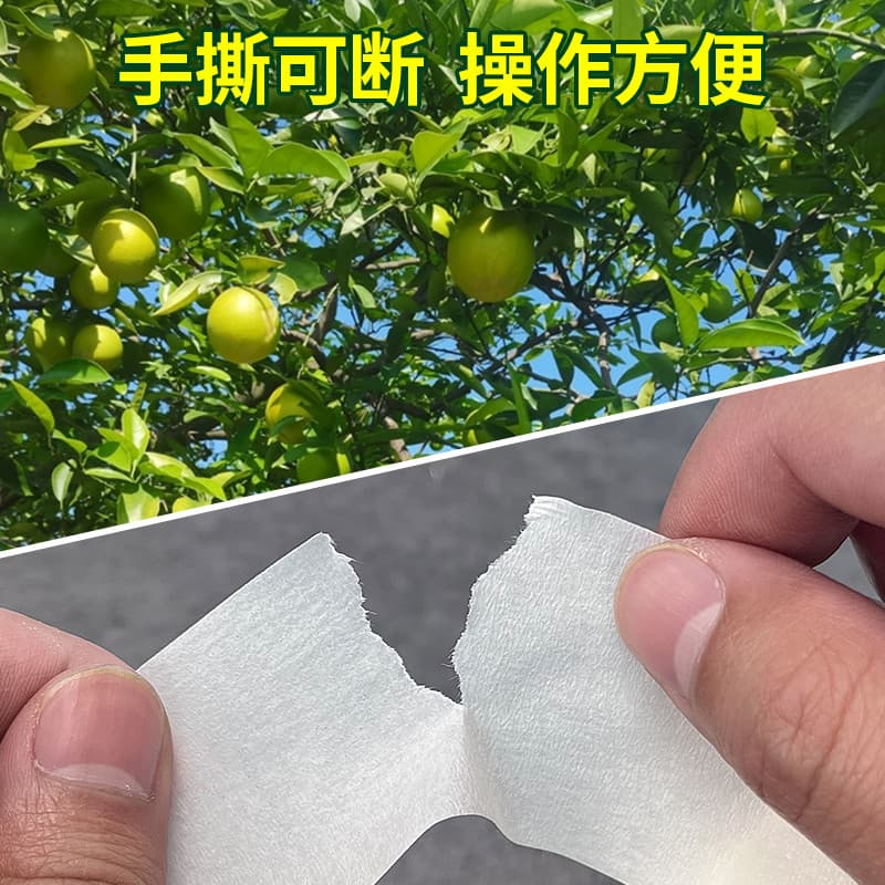 Papel de máscara de alta viscosidade Citrus Sun Fruit