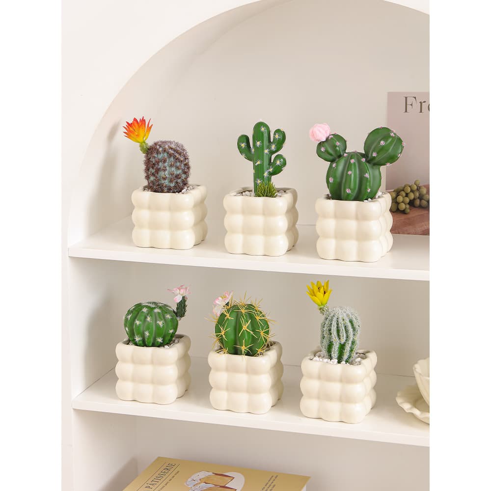Vieiras mar cactus vasos de plantas suculentas cactus vasos plantas interior flores falsas escritório decoração Desktop