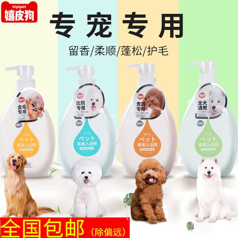 Gel de banho para cães, esterilização, desodorização, fragrância de longa duração, banho para animais de estimação, Bich