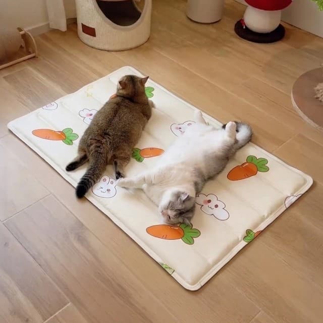 Almofada de gelo para animais de estimação, almofada de areia para gatos, almofada de dormir para cães, tapete legal, al