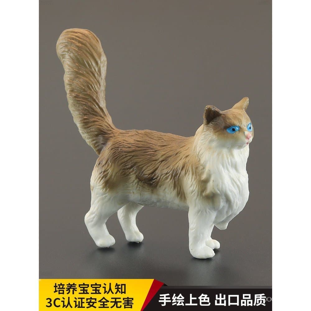 Brinquedo infantil realista de animal sólido, modelo de animal, gato ragdoll, gato de estimação, ornamento de presente c