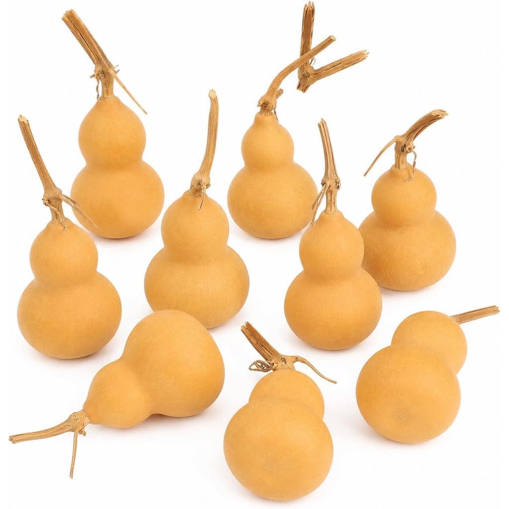 LUOZZY 10 Peças de Cabaças Naturais Secas para Artesanato, Ornamento de Cabacas Secas Naturais para Projetos DIY, Decora