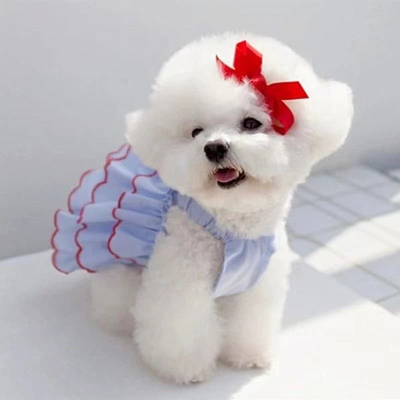 Verão fino animal de estimação princesa cão saia Teddy Bichon francês luta gato vestido roupas do gato suprimentos para