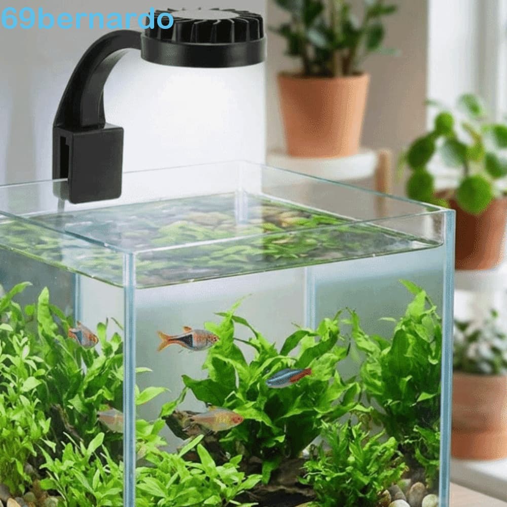 BERNARDO LED Luz Para Tanque De Peixes , Mini Lâmpada De Clipe De Carregamento USB Aquário , Eficiência Energética