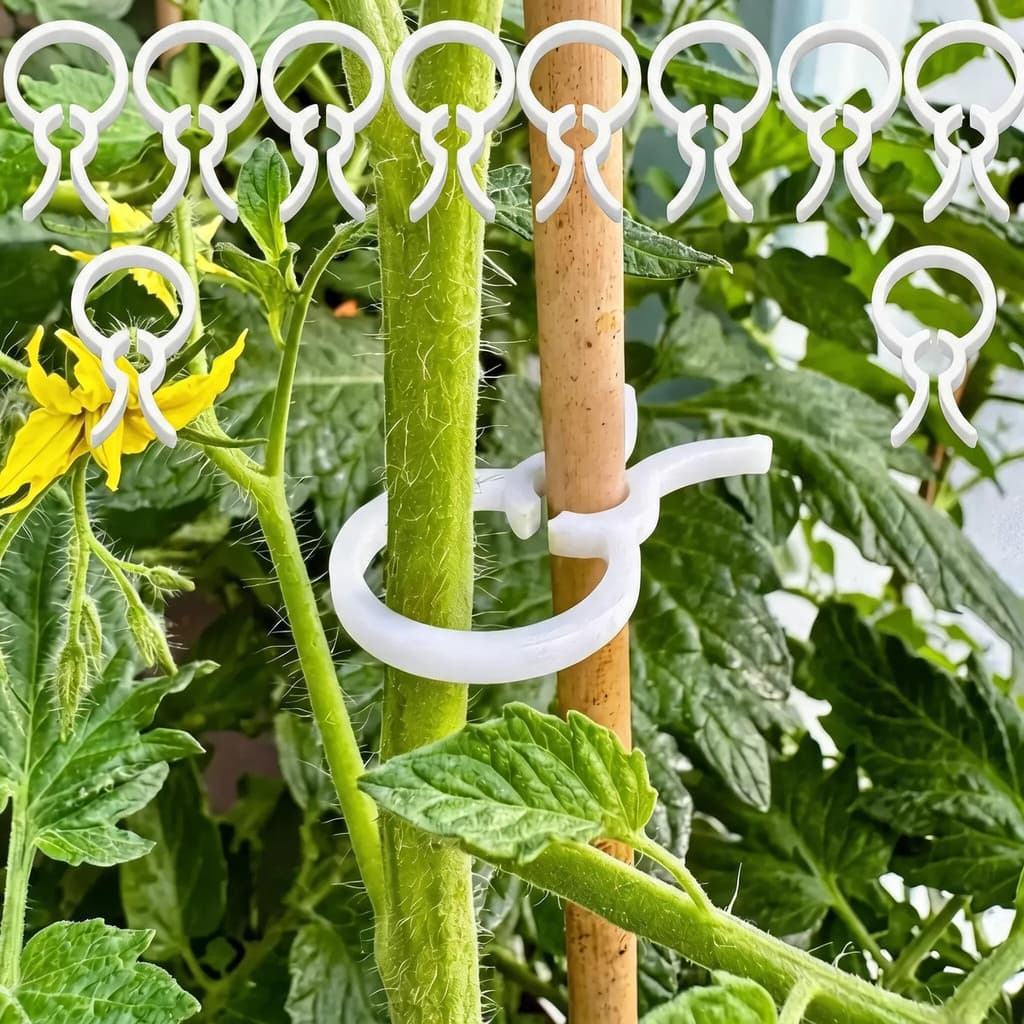 Kit 10 Suportes Clipes Para Organizar E Segurar Plantas Flores E Caules