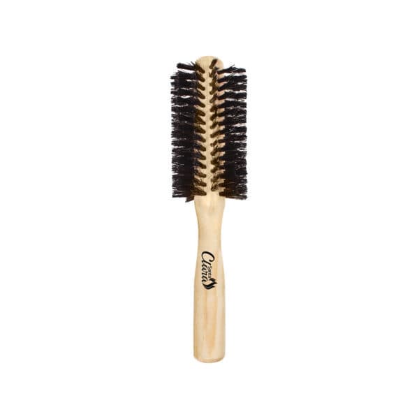 Escova para Cabelo com Cerdas em Nylon Santa Clara 4531