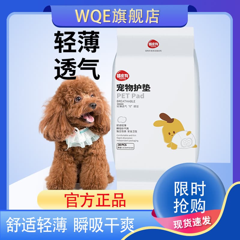 Almofadas menstruais para cães de estimação, almofadas descartáveis menstruais de pelúcia, Golden Retriever, tia, guarda