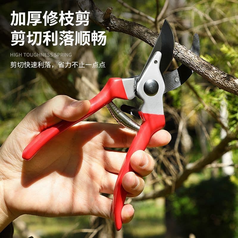 Tesouras de poda de aço inoxidável Tesouras de jardinagem Tesouras que economizam trabalho Tesouras de jardineiro Tesour