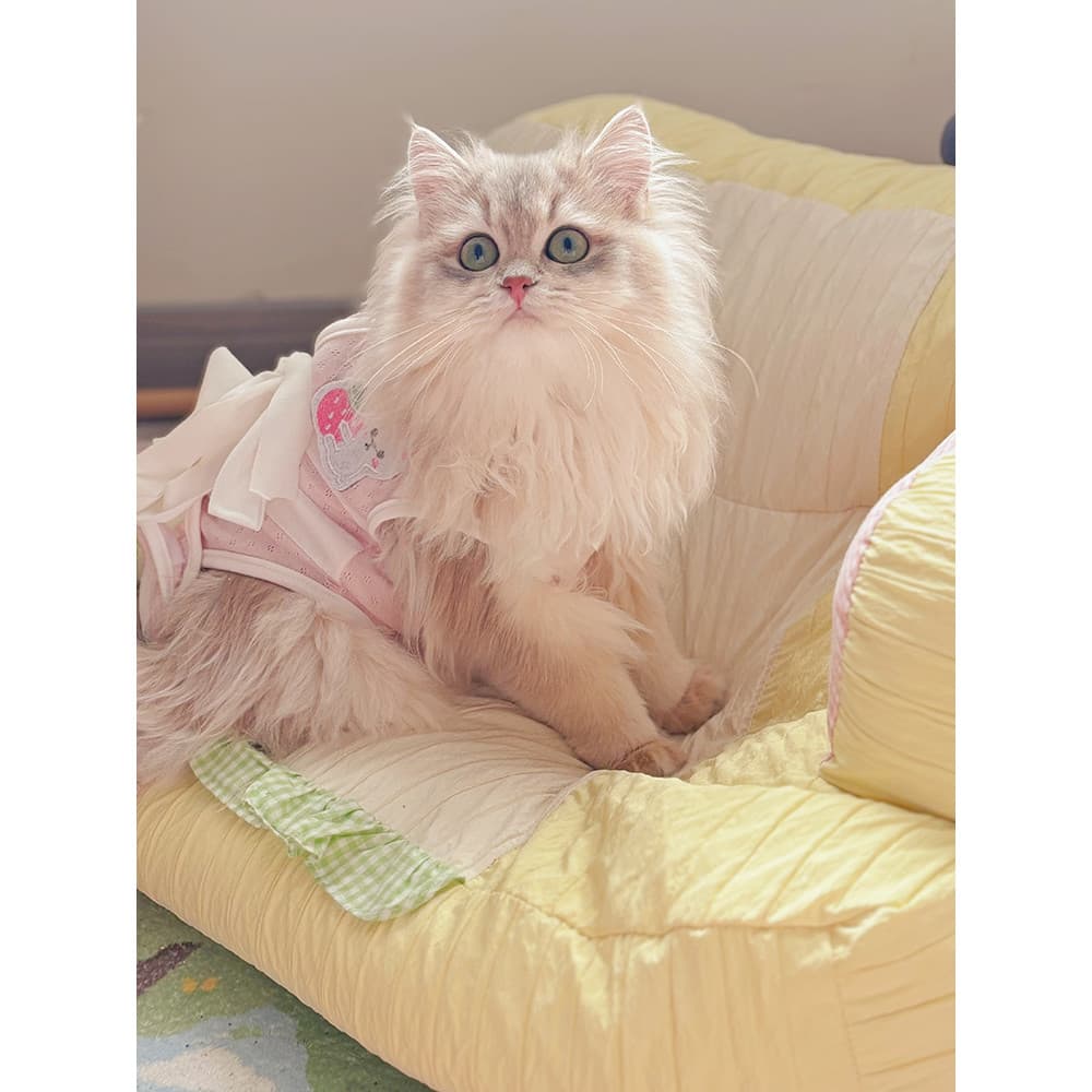 Hippie cão gato roupas de esterilização feminino gato roupas cirúrgicas roupas respiráveis Muppet desmame roupas masculi