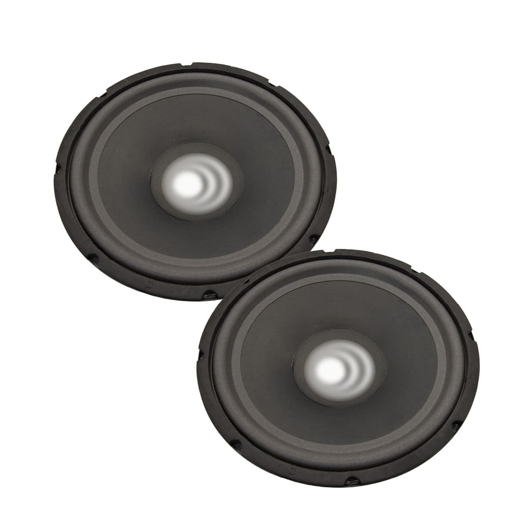 Par De Alto Falante Woofer Subwoofer  12" 50W Rms 4 Ohms