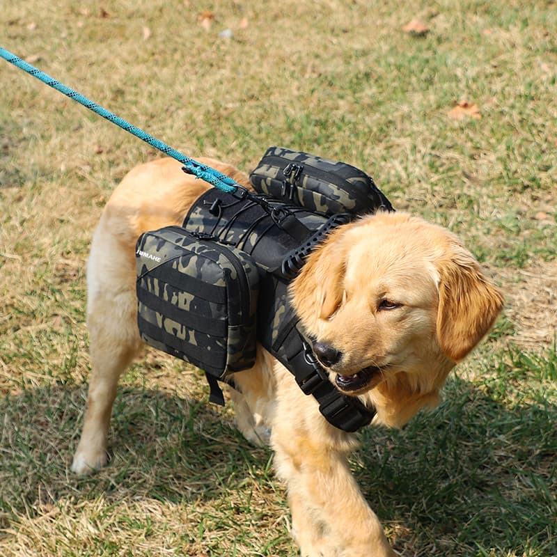 Mochila para animais de estimação, mochila automática para cães, Golden Retriever, Husky, Labrador, médio e grande, bols