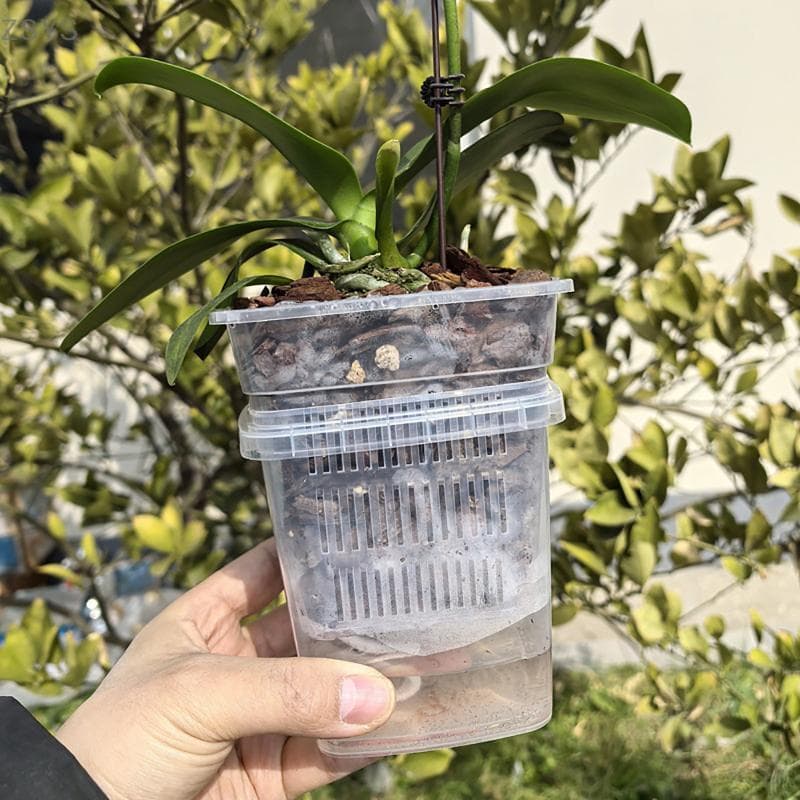 [ZSYS] Vaso De Flores Com Rega Automática Design De Camada Dupla Furos De Drenagem Para Berçário Interno , Decoração De