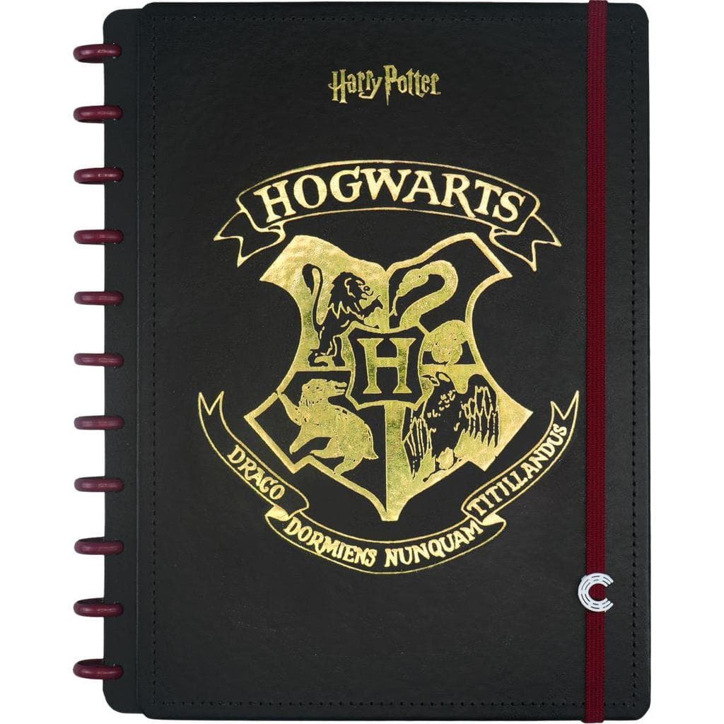 Caderno Inteligente Grande Harry Potter 80 fls. 215 mm x 280 mm - Caderno Inteligente