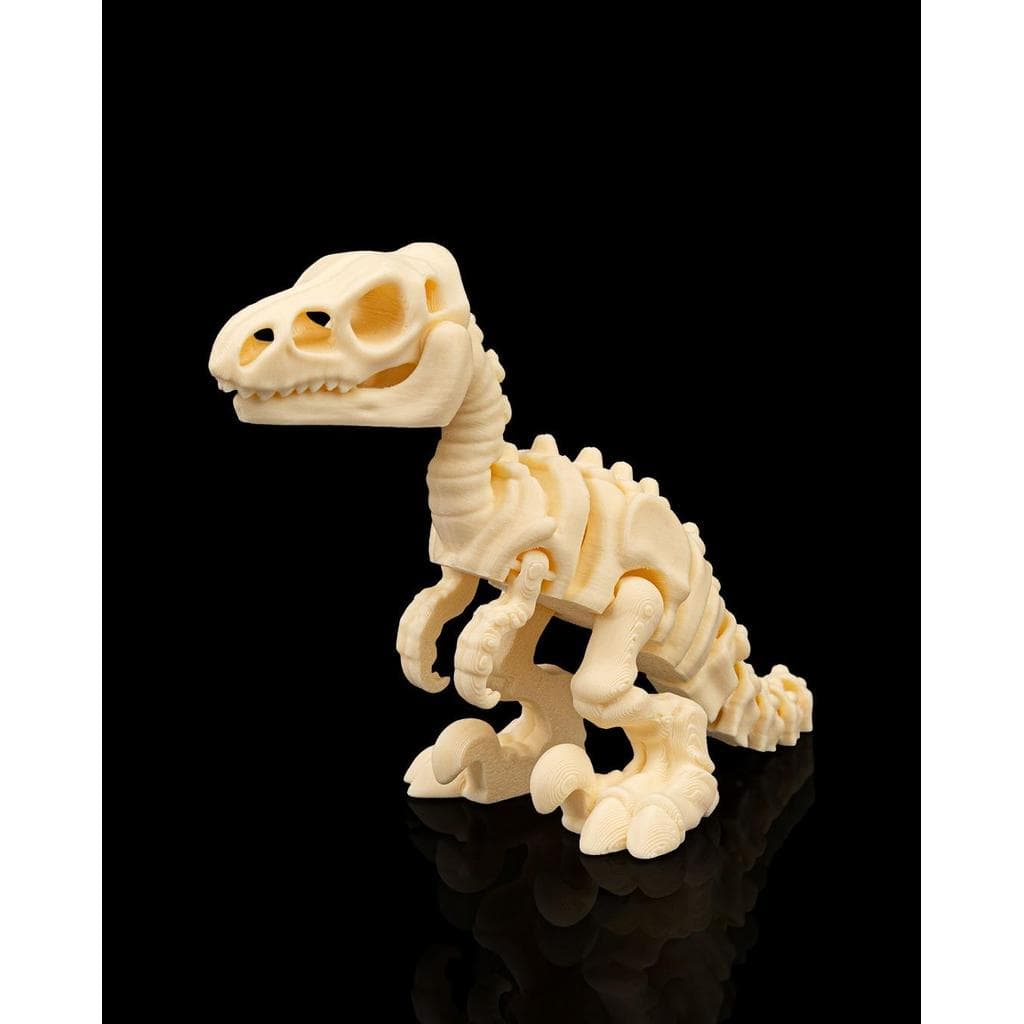 Skeleton Velociraptor Articulado – Disponível em Branco ou Cinza