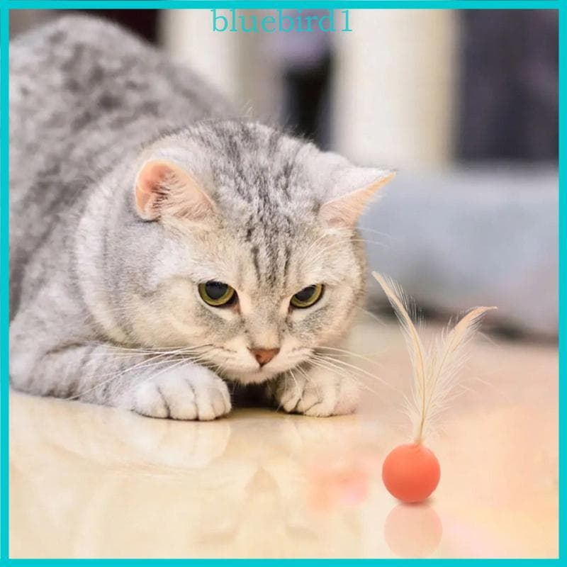 Brinquedo Azul Para Cachorro , Bolas De Penas Macias , Brinquedos De Borracha Cachorros Exercícios De Gatinhos