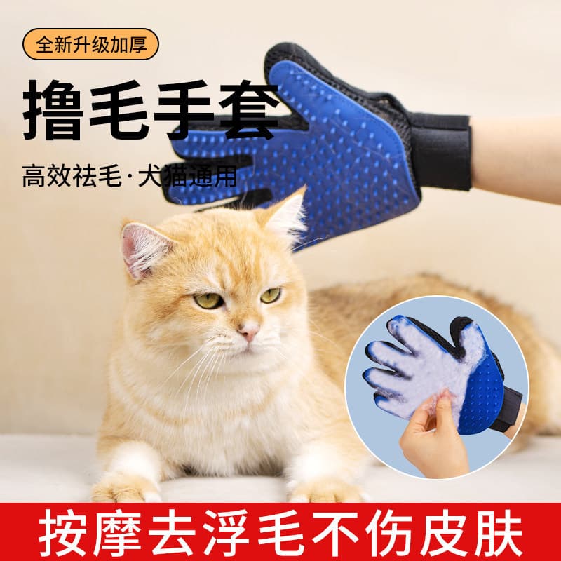 Suprimentos para gatos