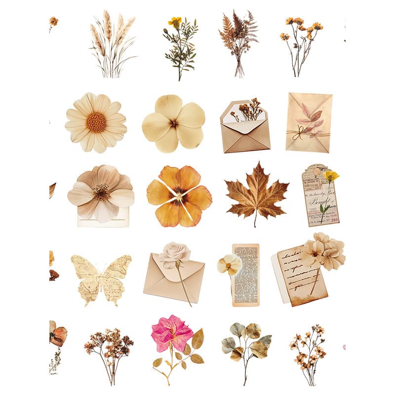 50 folhas de adesivos de folhas de flores secas estilo ins arte simples americano retrô flores secas atmosfera de outono