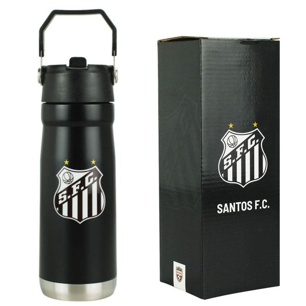 Garrafa Térmica Inox Alça Canudo Bico 650ml - Santos