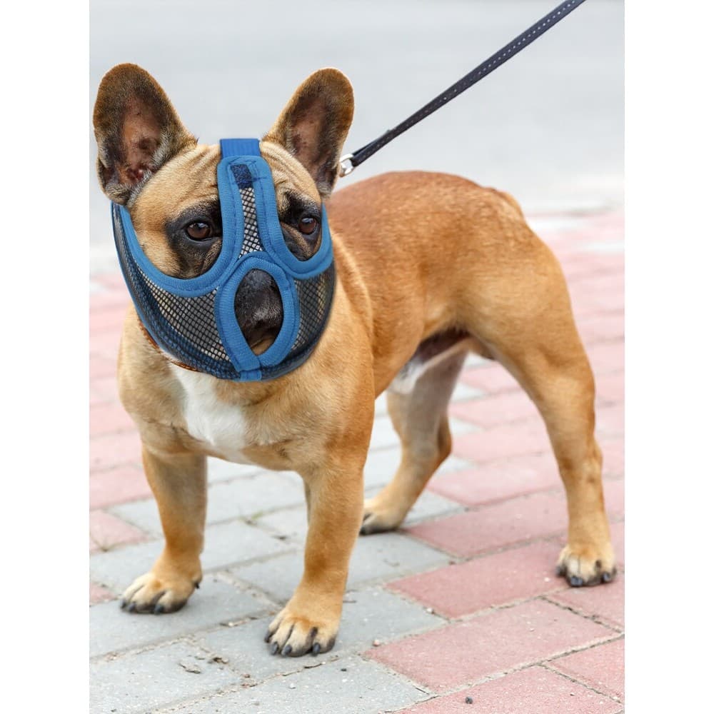 Novo buldogue francês anti-mordida anti-comer boca capa buldogue francês cão boca capa Pug boca curta Brea