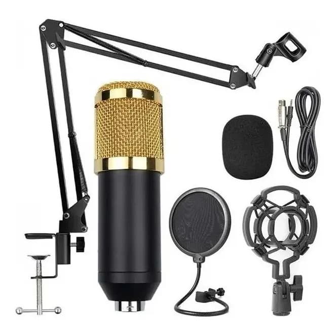 Microfone Condensador SuaWin BM800 Dourado Com Acessórios Para Estúdio