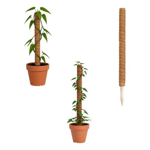 Kit Com 2 Tutor Estaca Fibra Coco Fixo Reto Planta Trepadeira 80cm promo