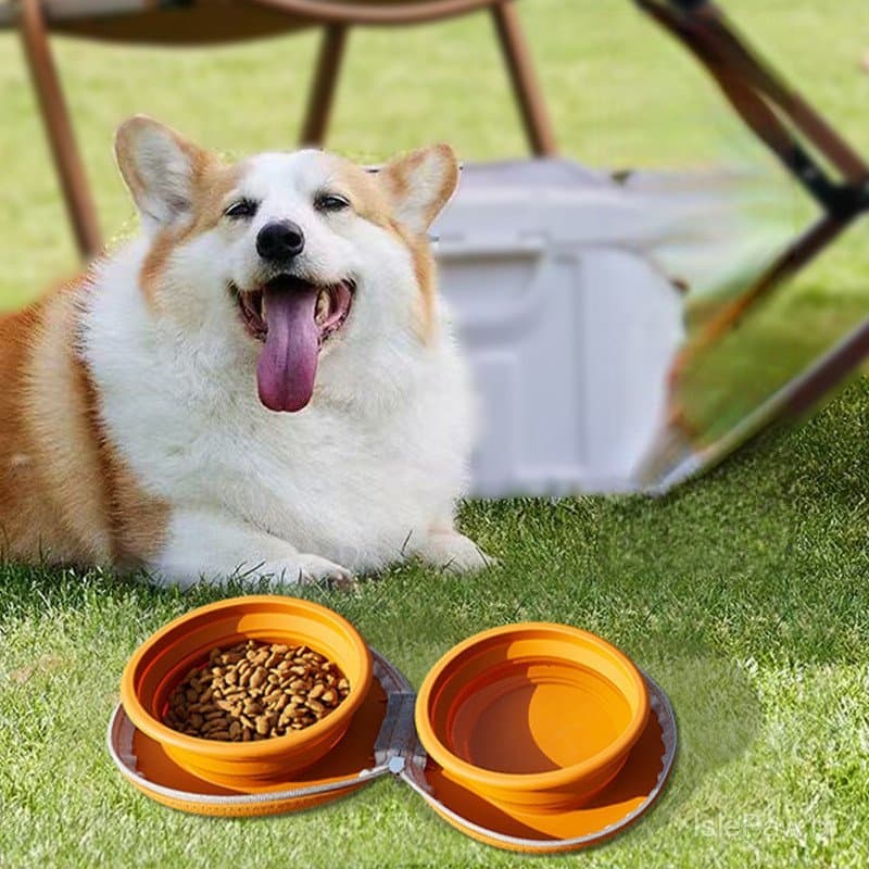 Tigela Viagem Pet Dupla Silicone Dobrável Cão Gato