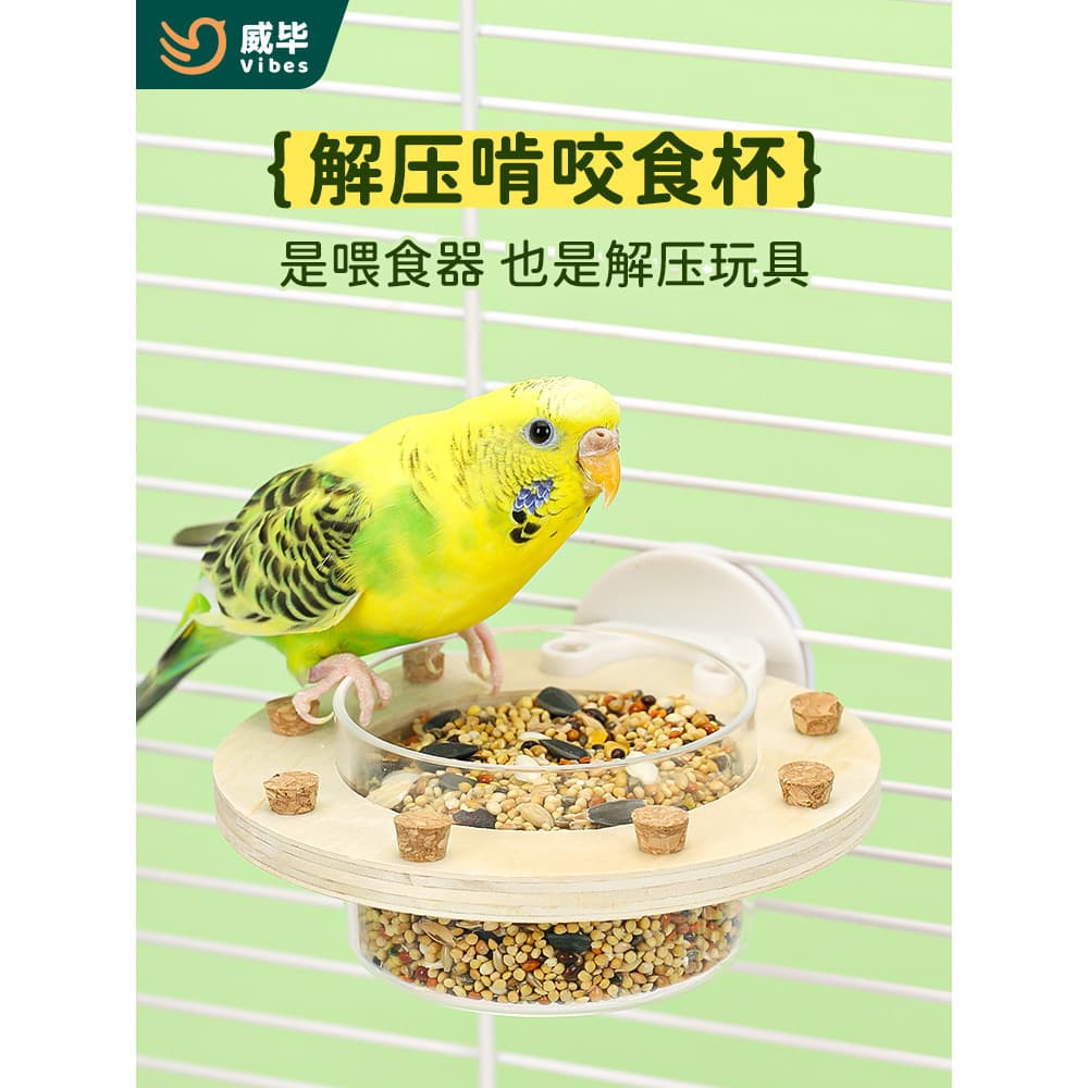 Weibi papagaio alimentador tigre peônia Phoenix alimentação água pássaro caixa de comida aliviar o tédio mastigando brin