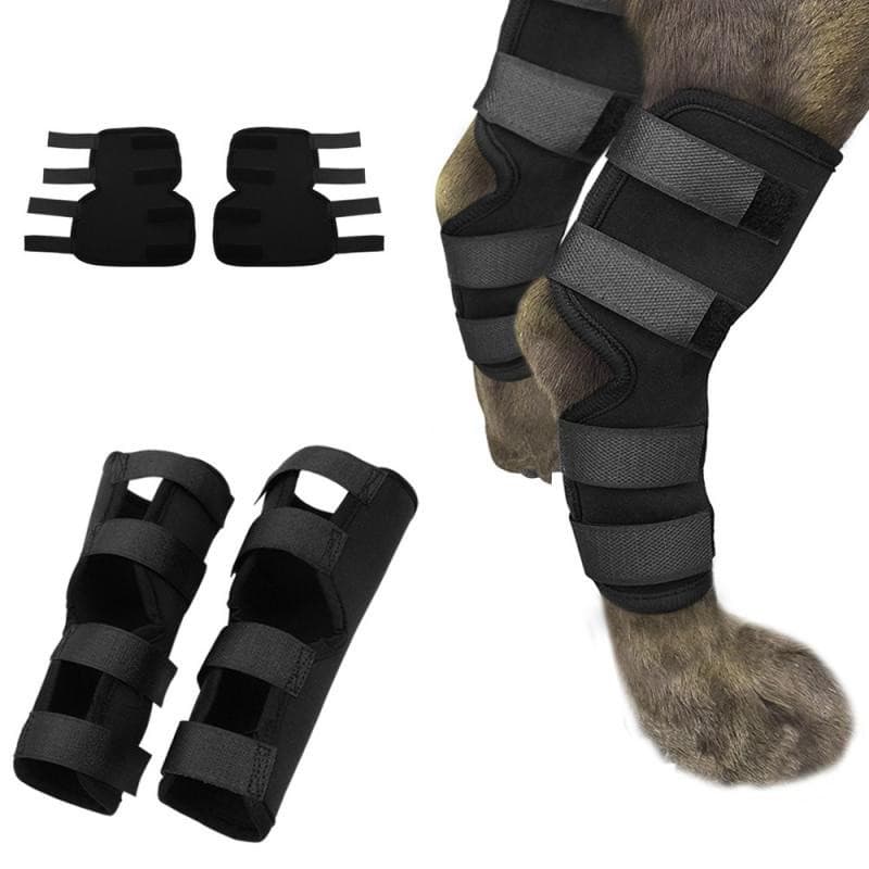 Equipamento de Proteção para Animais de Estimação, Leggings para Cães, Protetores de Joelho, Protetores de Cotovelo, Ban